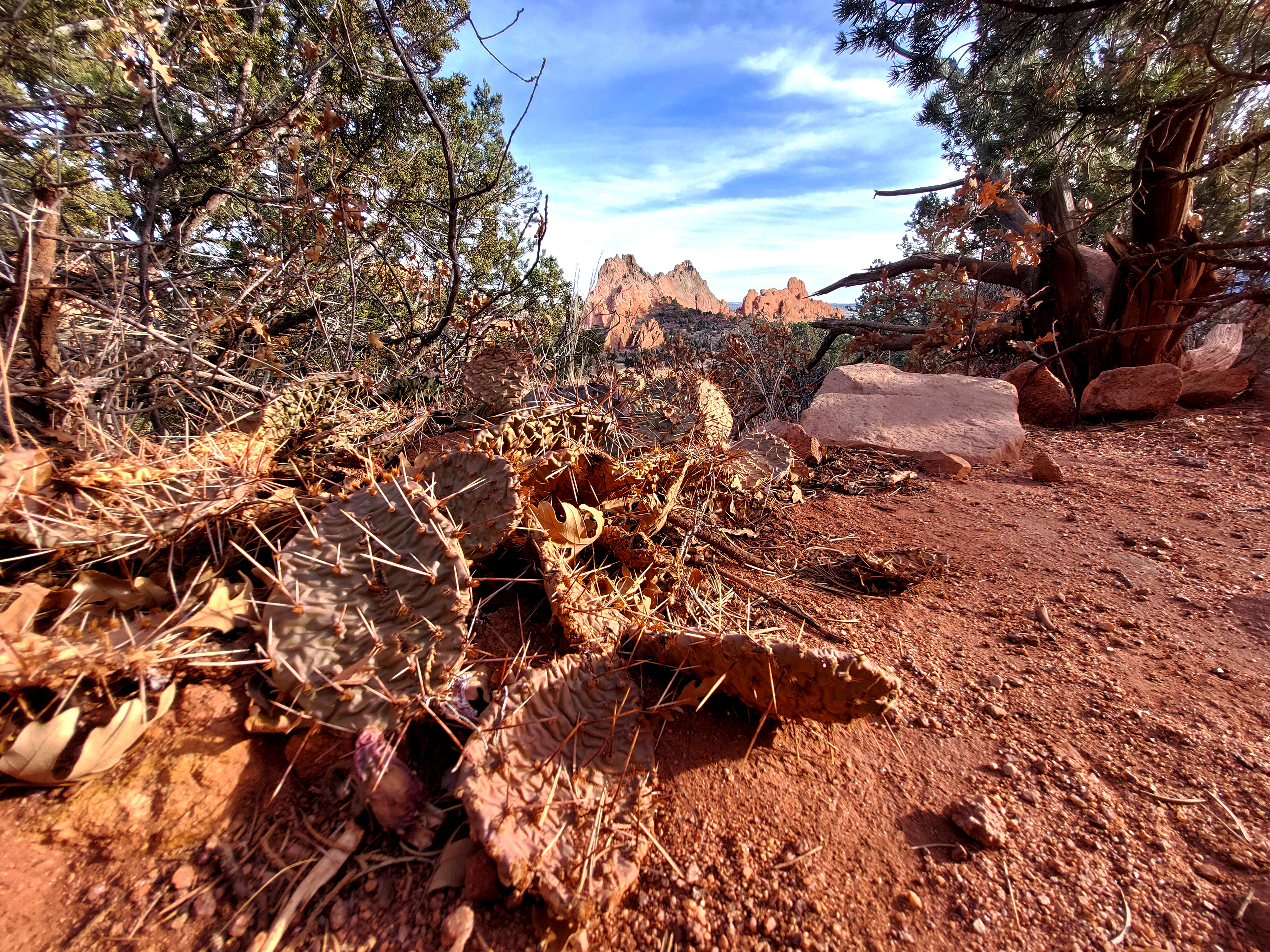 It's easy for animals to move, plants needs to stay still and adapt, Colorado