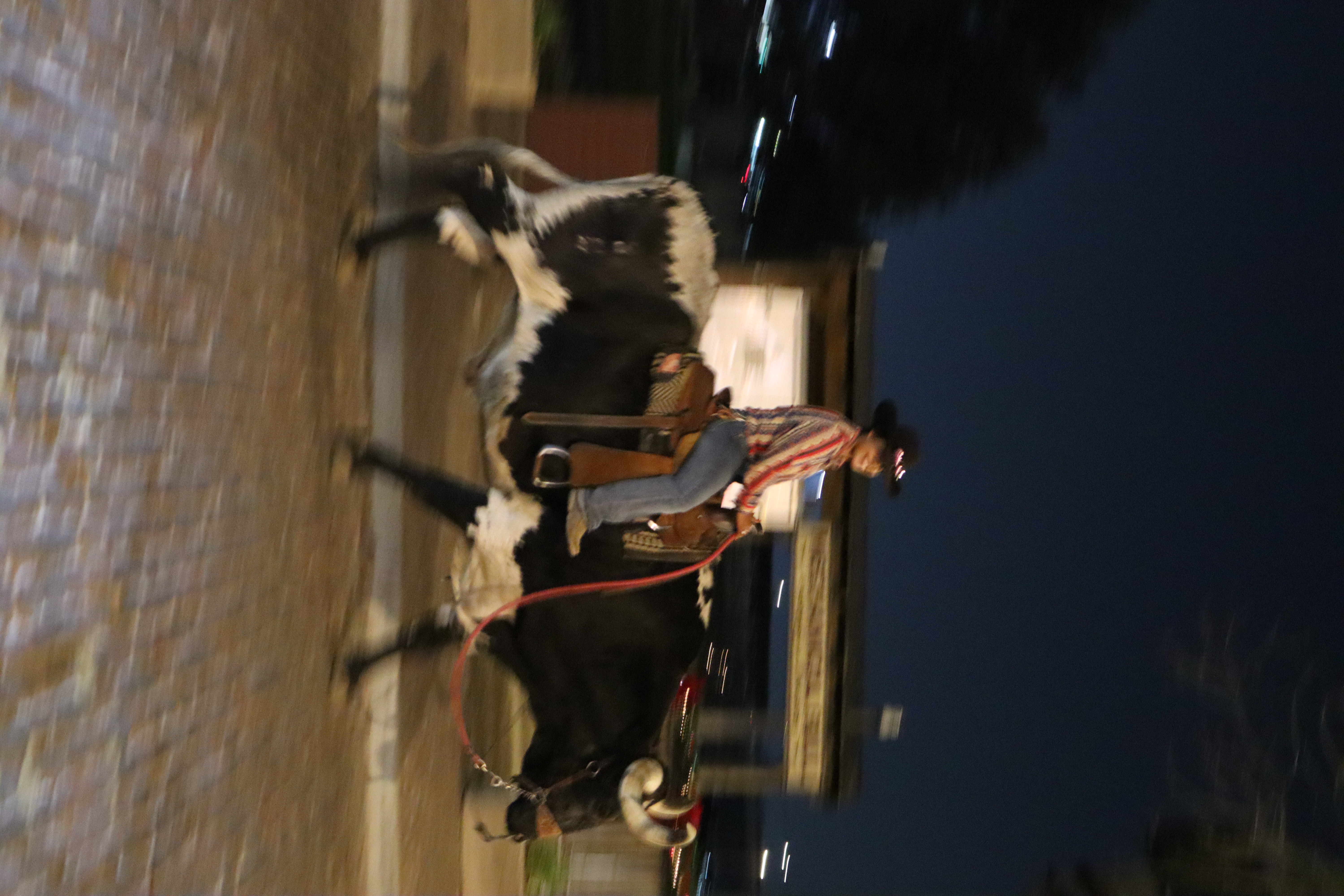 Stockyard festival, Texas