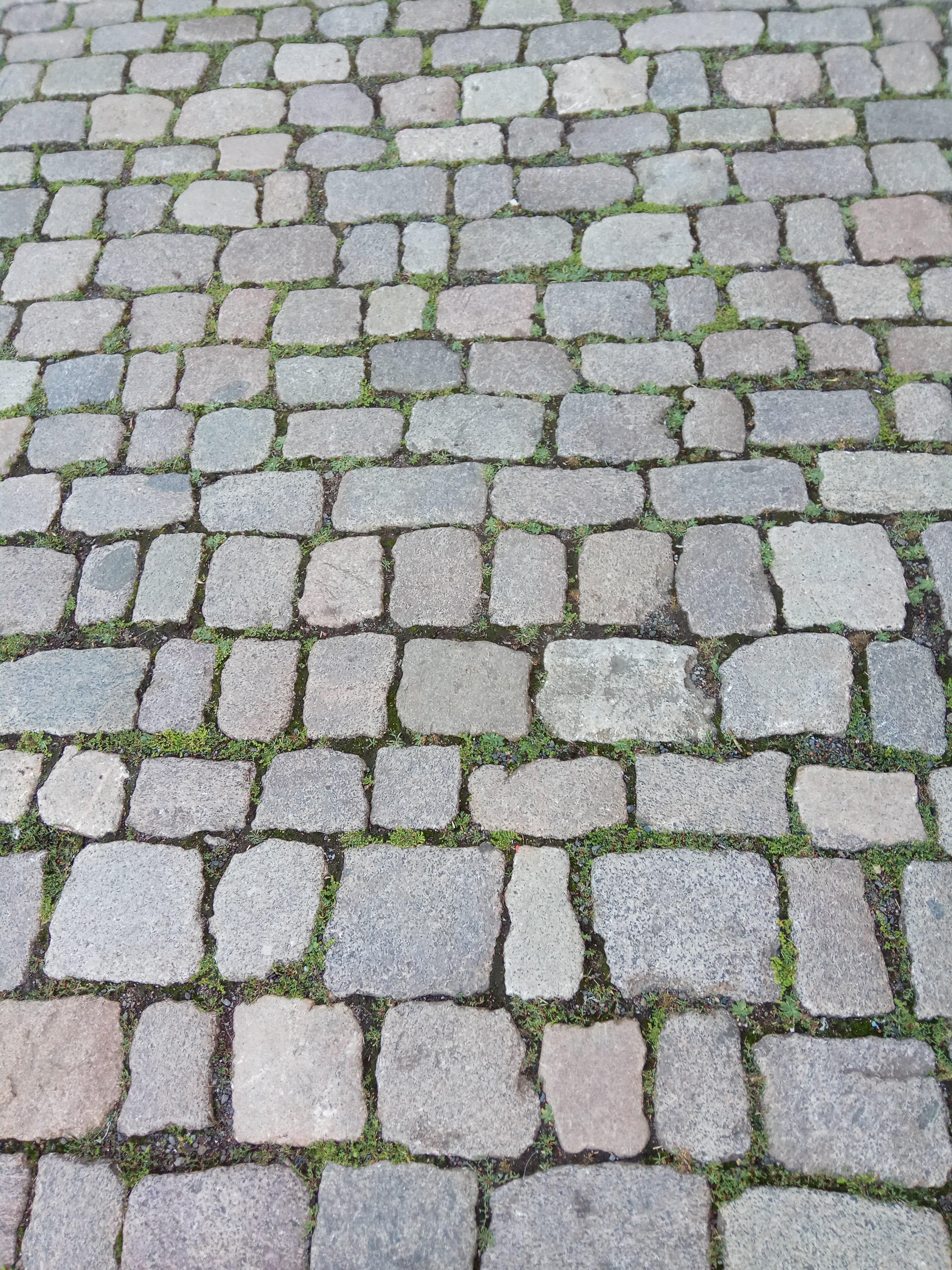 Stone road, Dresden