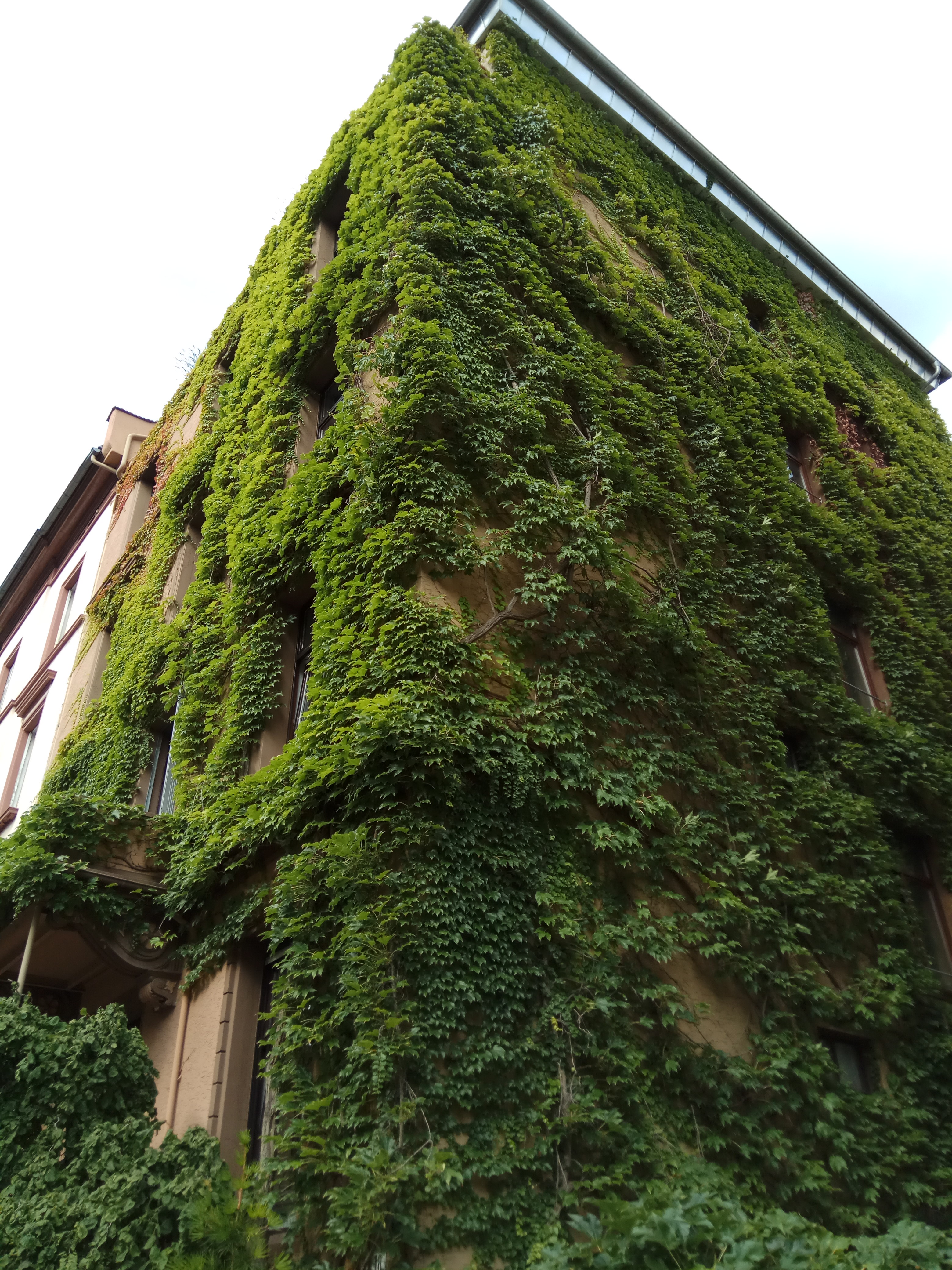 Green building, Germany
