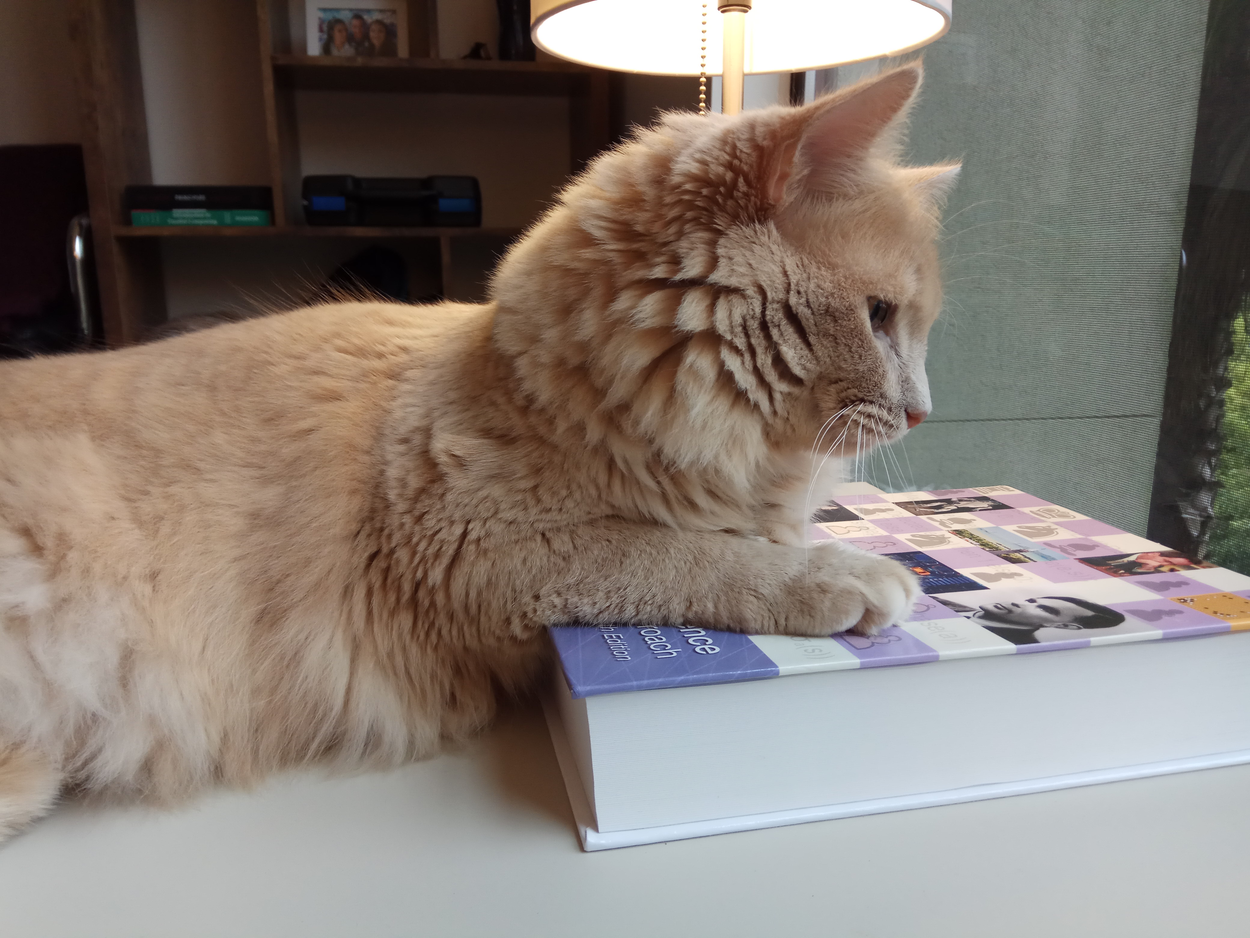 Mocha meeting AI textbook